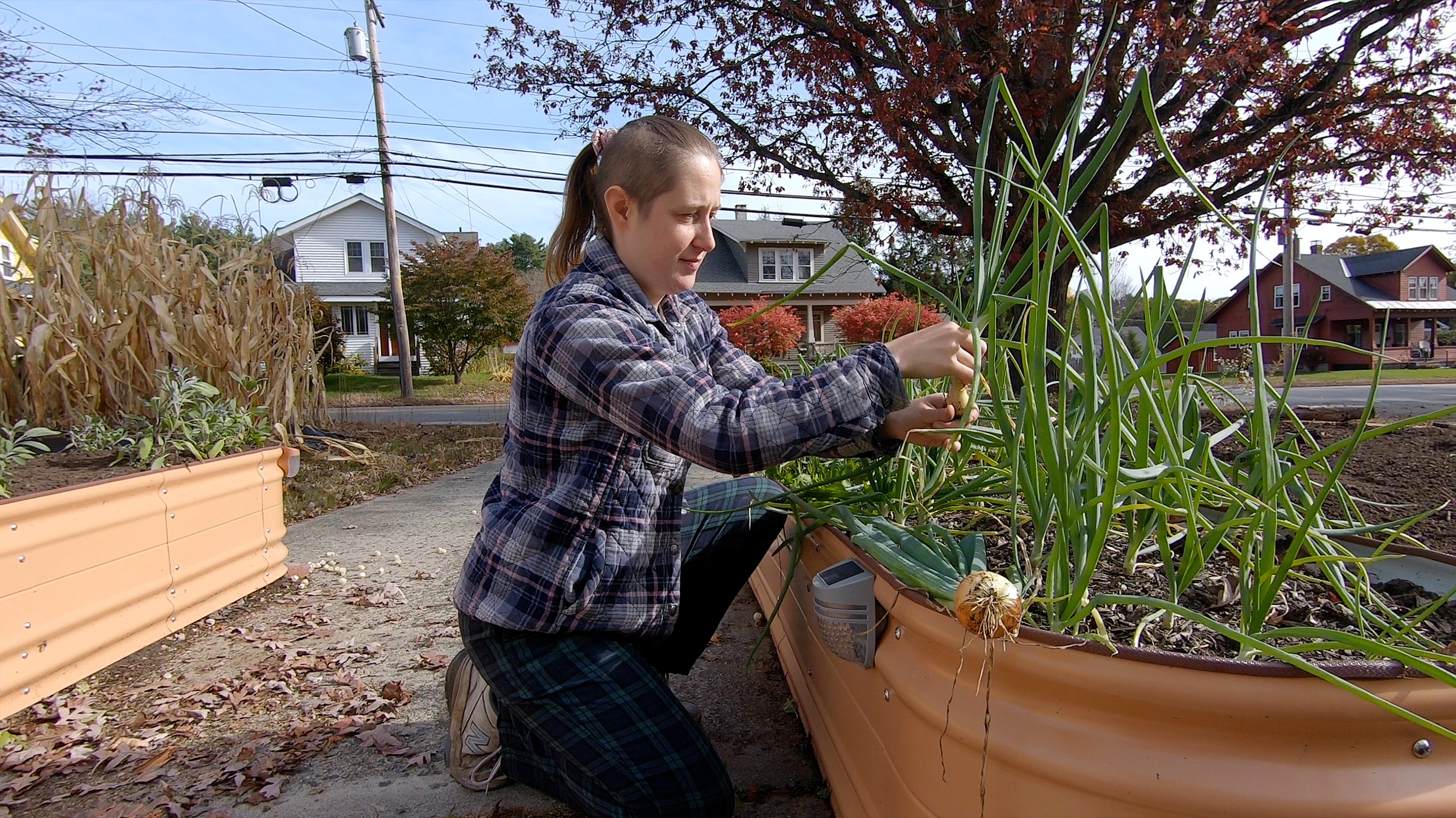 Sam Jackson in garden